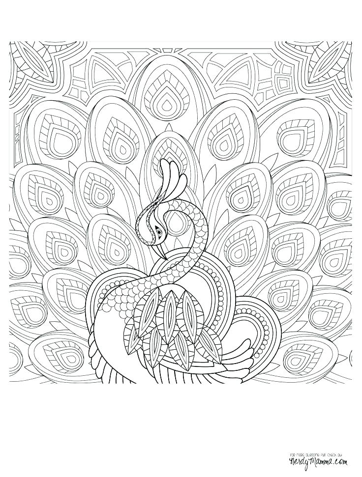 Coloring Pages Peacock Peacock Coloring Pages For Adults Download 736x971 Coloring Pages Peacock Peacock Coloring Pages For Adults Download