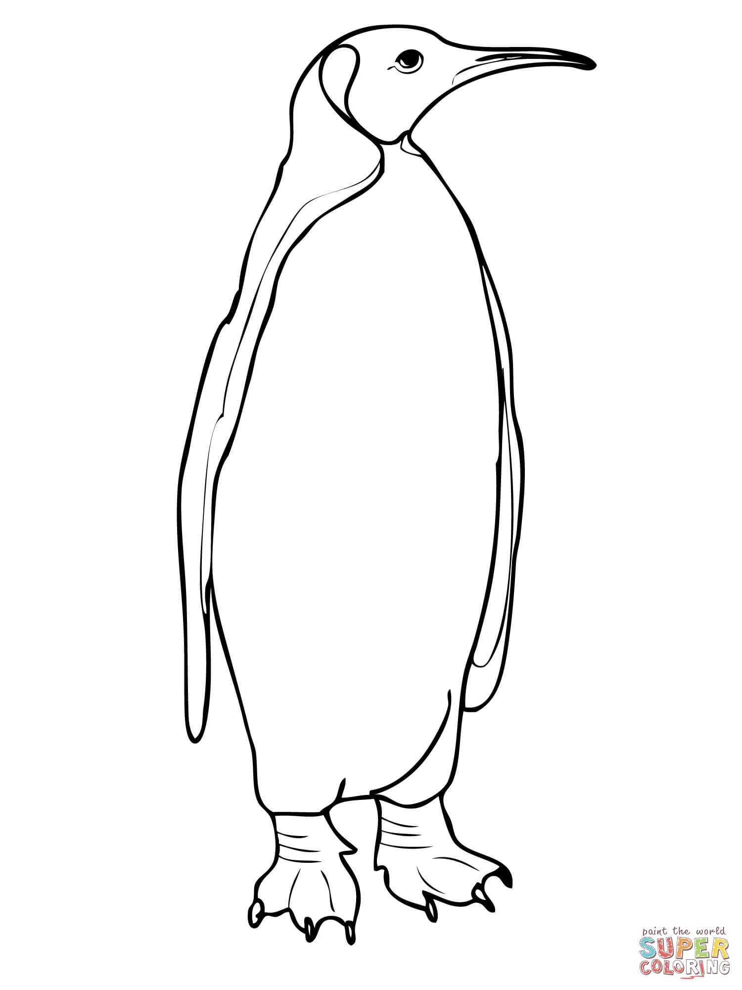 Penguins Coloring Pages Free Beauteous Penguin Colouring Pictures 1500x2000 Penguins Coloring Pages Free Beauteous Penguin Colouring Pictures
