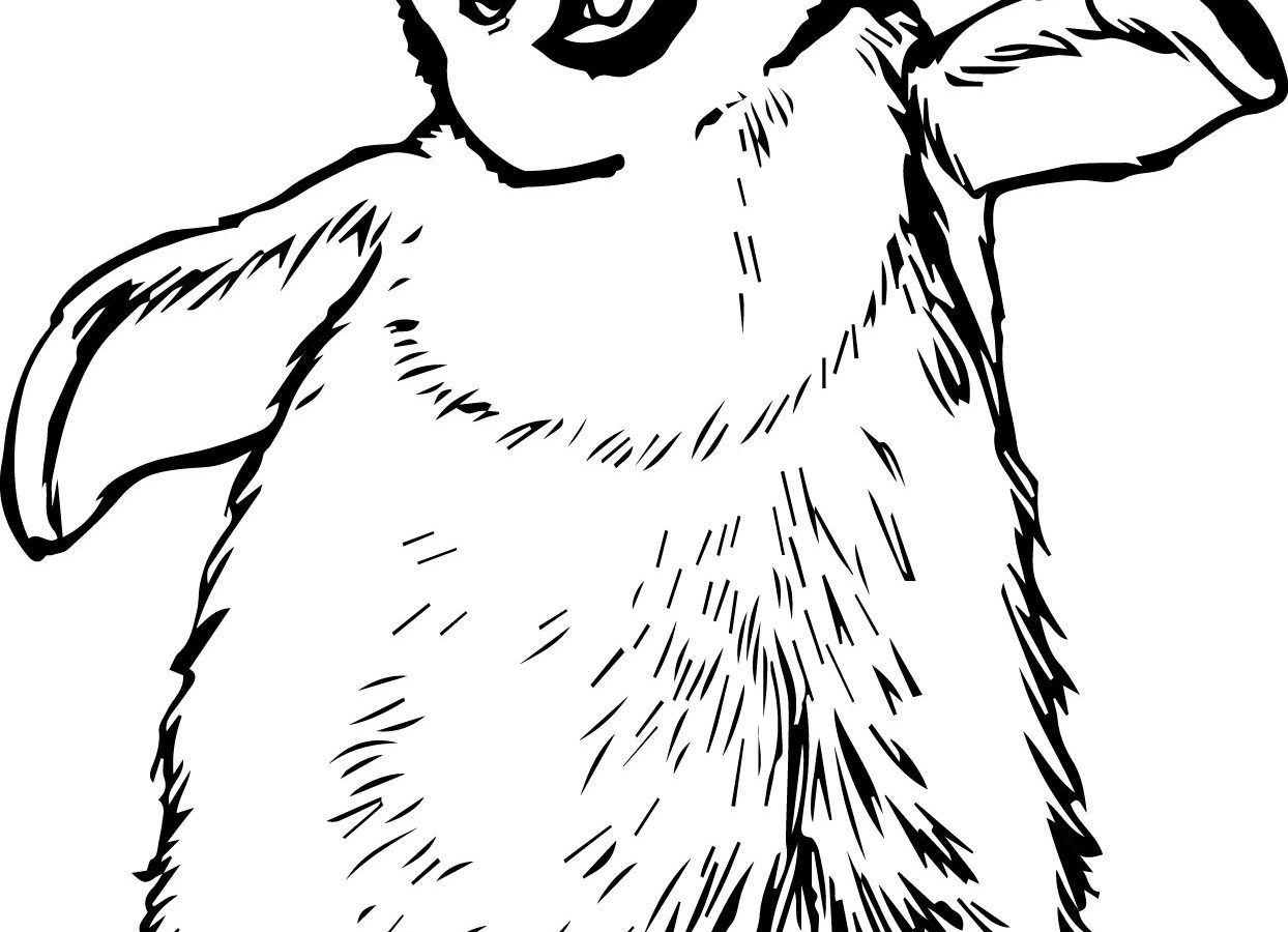 Remarkable Emperor Penguin Coloring Page For Kids King Free 1244x900 Remarkable Emperor Penguin Coloring Page For Kids King Free