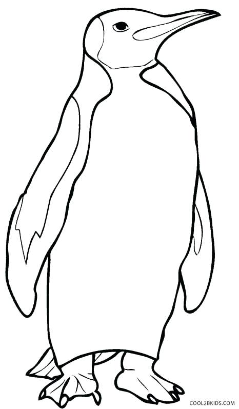 Winter Penguin Coloring Pages Winter Penguin Coloring Pages Tacky 466x797 Winter Penguin Coloring Pages Winter Penguin Coloring Pages Tacky