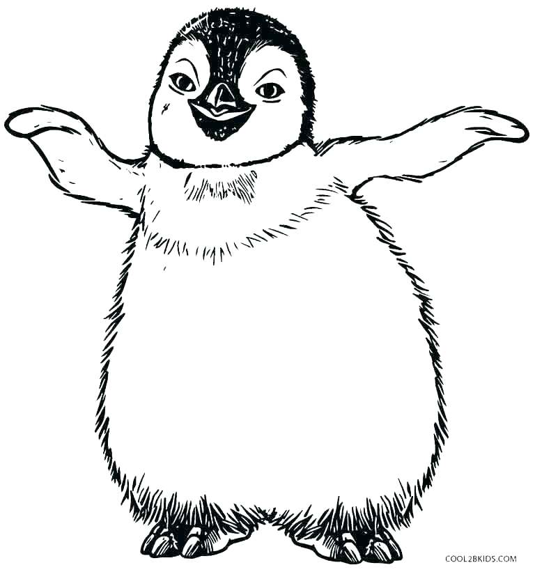 Coloring Page Penguin Coloring Pages Of Penguins Luxury Penguins 768x821 Coloring Page Penguin Coloring Pages Of Penguins Luxury Penguins