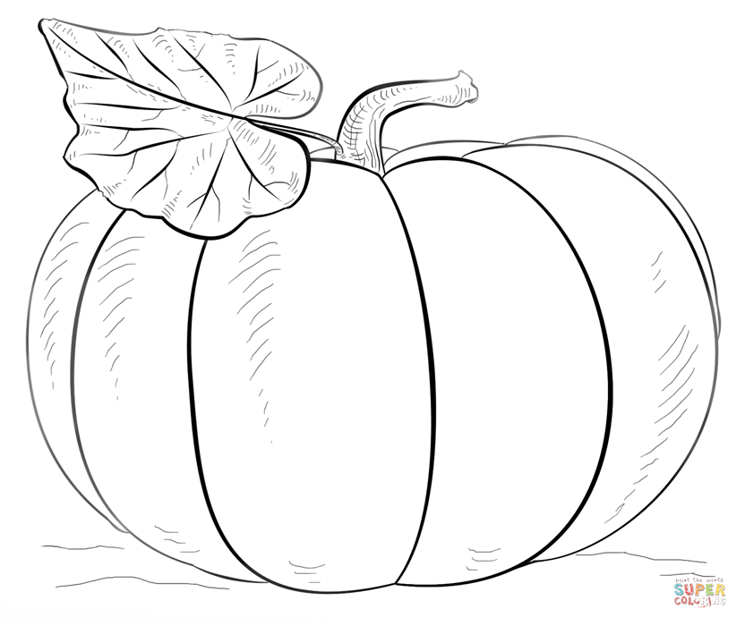Free Printable Pumpkin Coloring Pages 832x700 Free Printable Pumpkin Coloring Pages