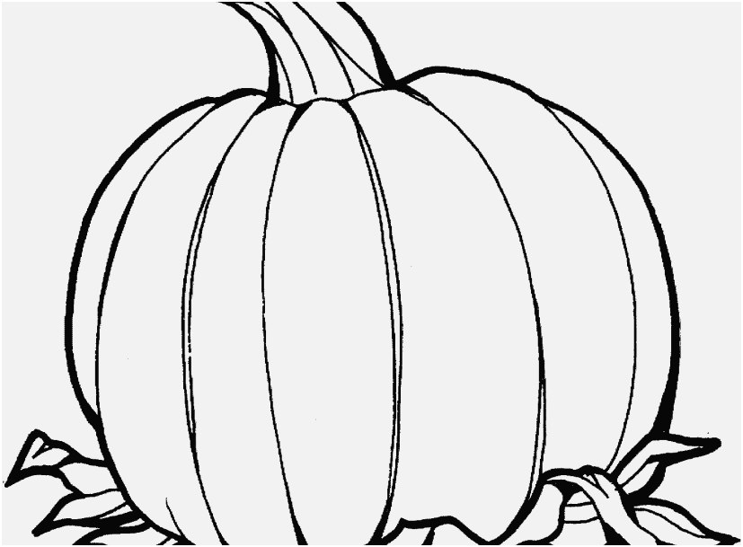 The Right Portraits Pumpkin Coloring Sheets Delightful 827x609 The Right Portraits Pumpkin Coloring Sheets Delightful