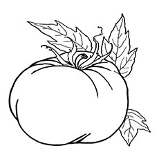 Top 25 Free Printable Pumpkin Coloring Pages Online 230x230 Top 25 Free Printable Pumpkin Coloring Pages Online