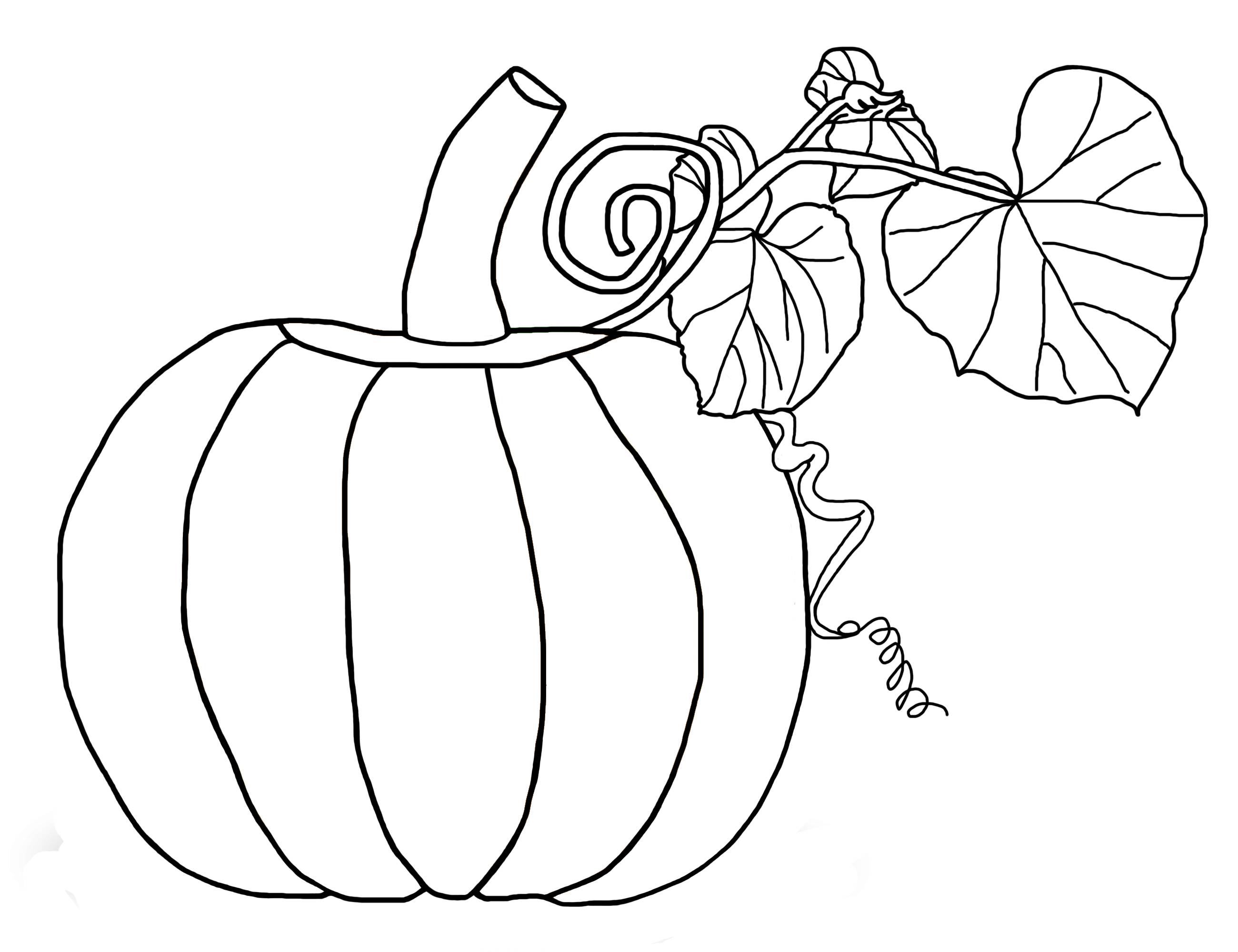 Free Printable Pumpkin Coloring Pages For Kids Pumpkin Coloring 2600x2000 Free Printable Pumpkin Coloring Pages For Kids Pumpkin Coloring