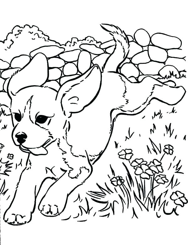 Puppy Coloring Pages Puppy Coloring Pages Puppy Coloring Pages 600x780 Puppy Coloring Pages Puppy Coloring Pages Puppy Coloring Pages