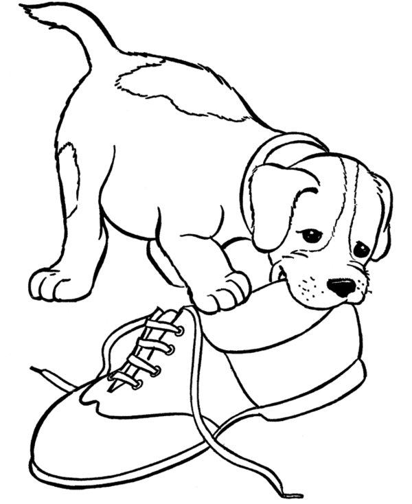 Puppy Coloring Pages For Kids 600x734 Puppy Coloring Pages For Kids