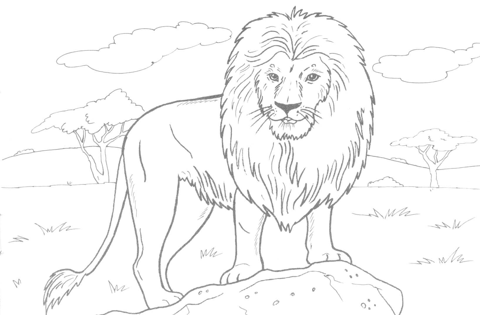 1635x1074 Lion Coloring Pages Best Printable Lion Coloring Pages Free
