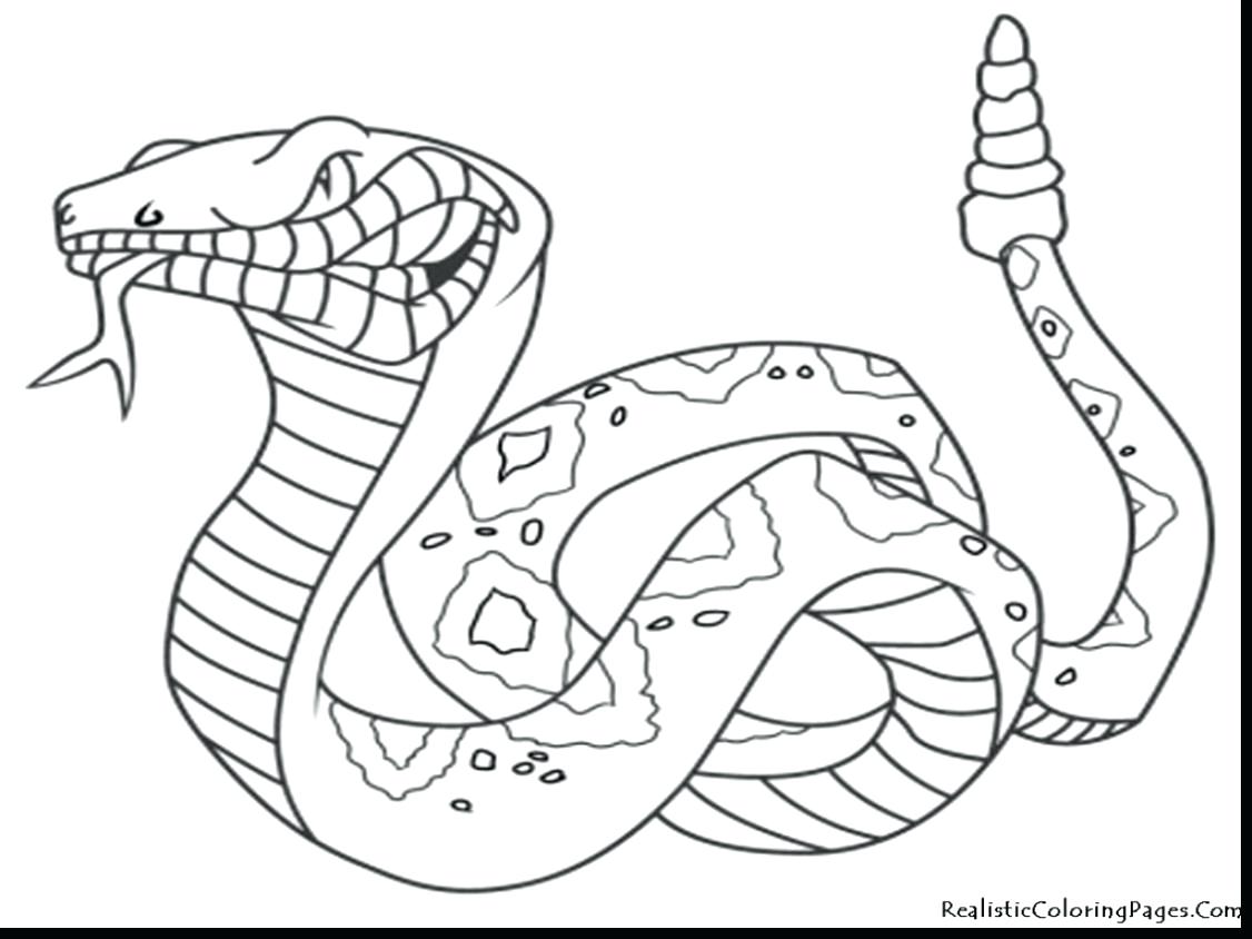 1126x844 Coloring Pages ~ Printable Animal Coloring Pages Popular Pictures
