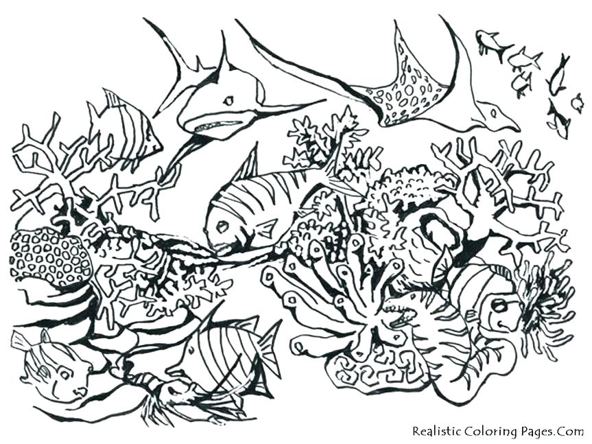 863x647 Animal Print Coloring Pages Big Coloring Pages Of Animals Animal