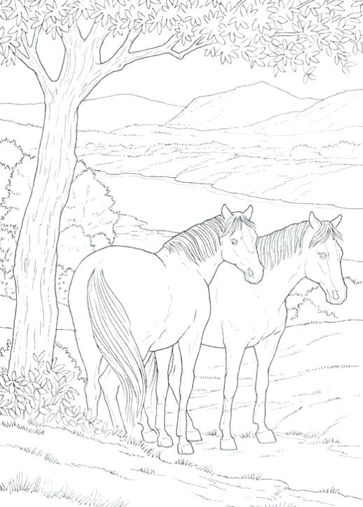 518x724 Good Wild Horse Coloring Pages Or Color Pages Horses Race Horse