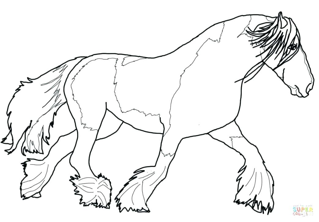 1043x726 Arabian Horse Coloring Pages Large Size Of Realistic Horse