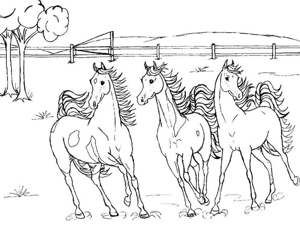 1000x783 Best Cool Realistic Horse Coloring Pages Free 553 Printable