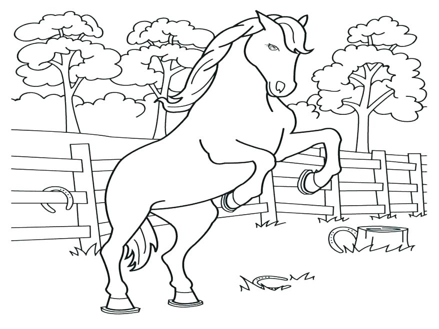 878x659 Frank Printable Coloring Pages Horse Coloring In Sheets Horse Free