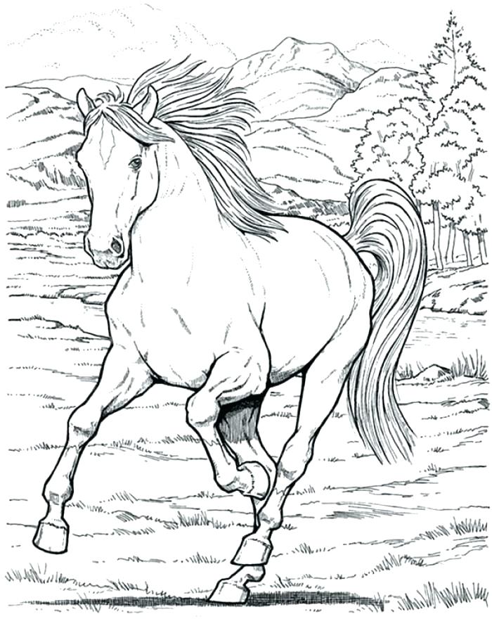 700x900 Free Printable Horse Coloring Pages For Adults Free Printable