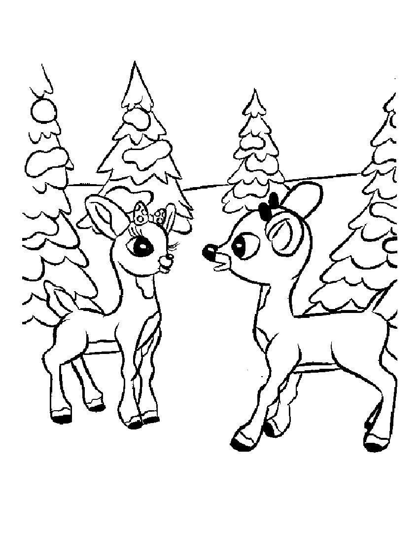 Free Printable Reindeer Coloring Pages For Kids 850x1100 Free Printable Reindeer Coloring Pages For Kids