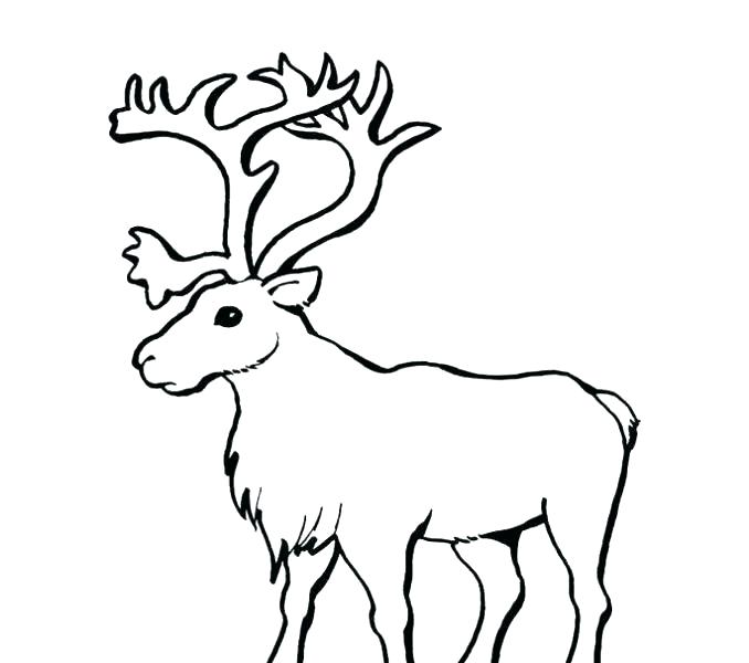 Free Reindeer Coloring Pages And Coloring Pages Free Rudolph 678x600 Free Reindeer Coloring Pages And Coloring Pages Free Rudolph