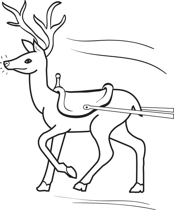 Raindeer Coloring Pages Free Printable Reindeer Coloring Page 581x700 Raindeer Coloring Pages Free Printable Reindeer Coloring Page