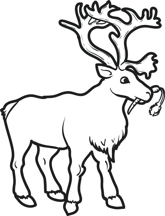 Reindeer Color Sheet And Coloring Pages Page Col On Holiday 534x700 Reindeer Color Sheet And Coloring Pages Page Col On Holiday