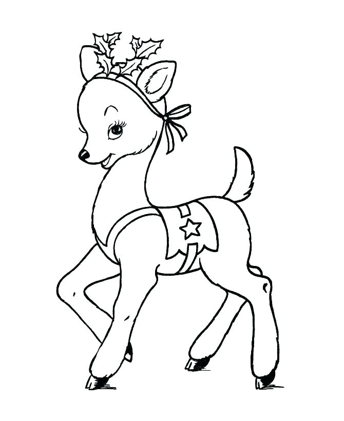 Reindeer Colouring Pages To Print Reindeer Coloring Pages 670x820 Reindeer Colouring Pages To Print Reindeer Coloring Pages