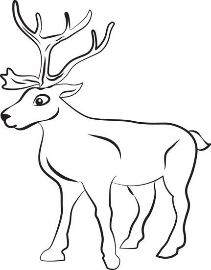 Free Printable Reindeer Coloring Page For Kids 431x550 Free Printable Reindeer Coloring Page For Kids