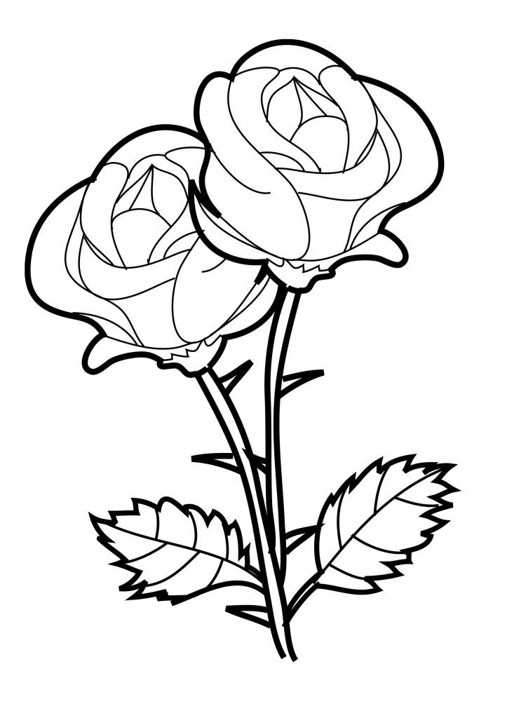 723x1024 Free Printable Roses Coloring Pages For Kids Rose, Adult