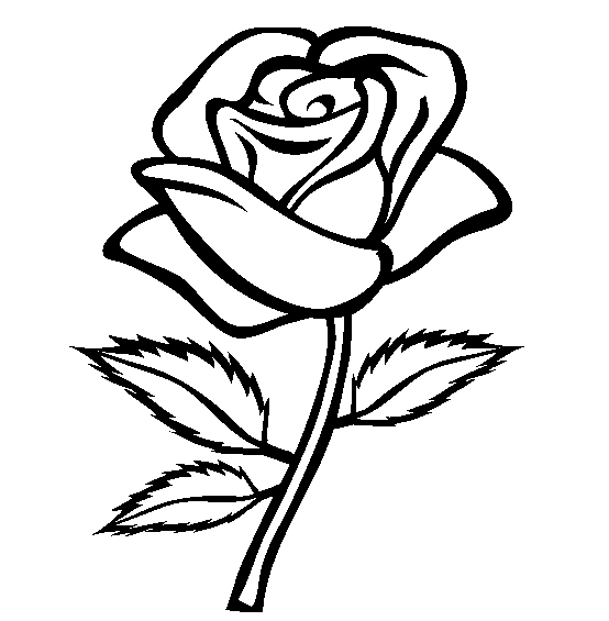 554x565 Rose Coloring Page Awesome Free Printable Roses Coloring Pages