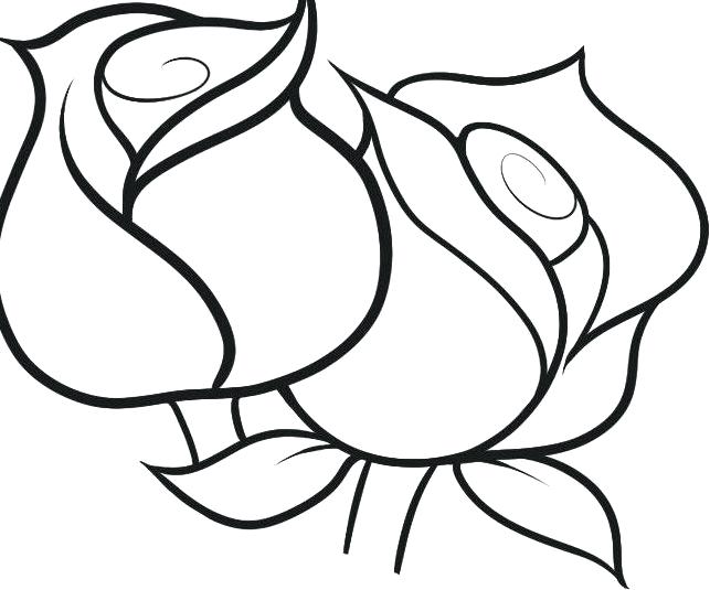 643x535 Best Roses Coloring Page Free Printable Rose Coloring Pages