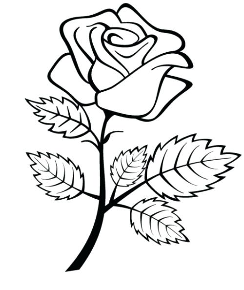 500x594 Rose Coloring Pages Free Coloring Pages Of A On E With Leaf