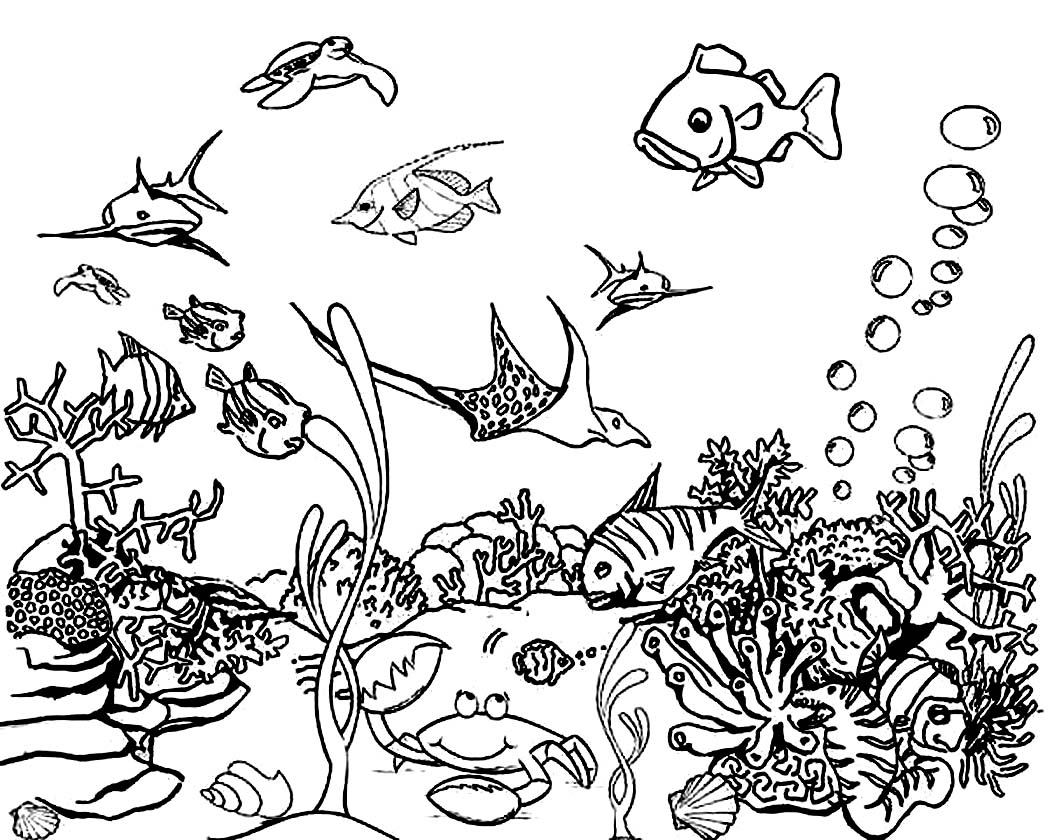 Nice Ocean Coloring Page Free Printable Pages 1050x840 Nice Ocean Coloring Page Free Printable Pages