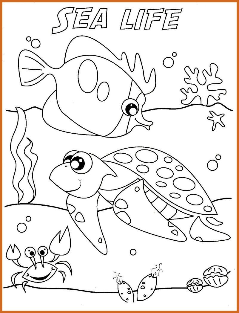 Amazing Ocean Life Coloring Pages To And Print For Home Printable 801x1047 Amazing Ocean Life Coloring Pages To And Print For Home Printable