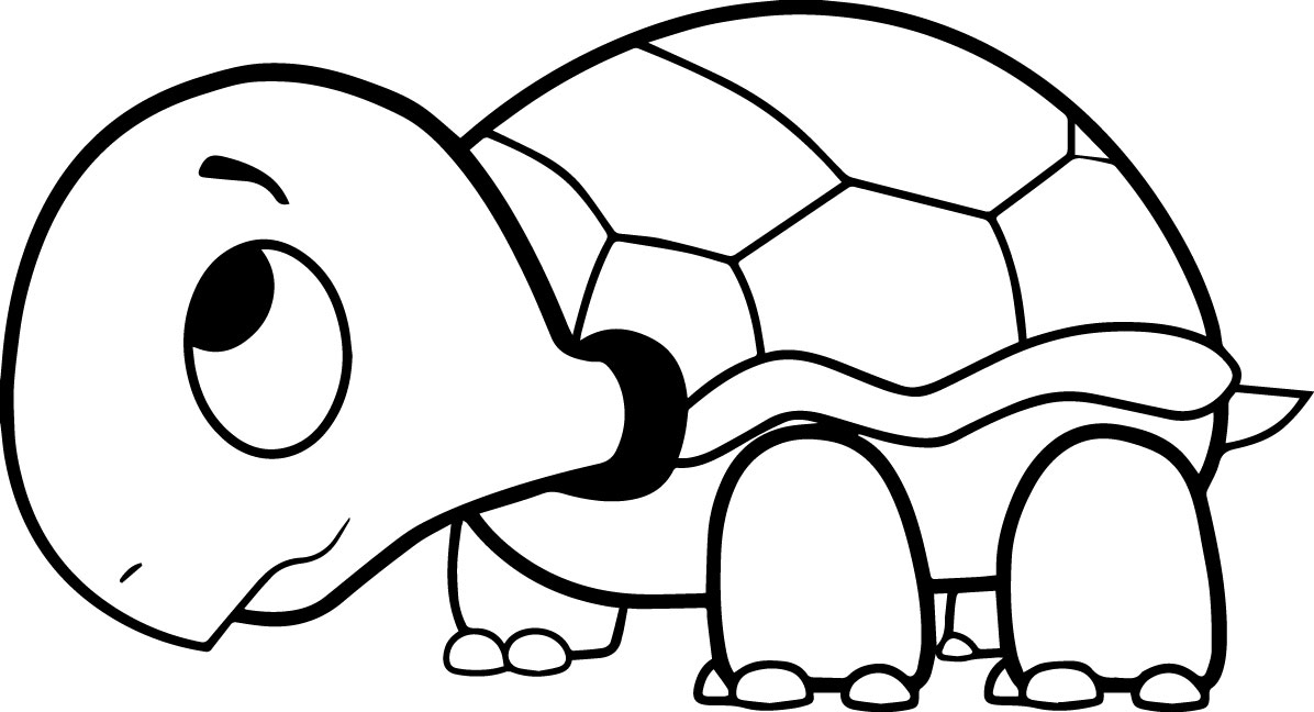 1196x648 Drawn Sea Turtle Coloring Page Pencil And In Color