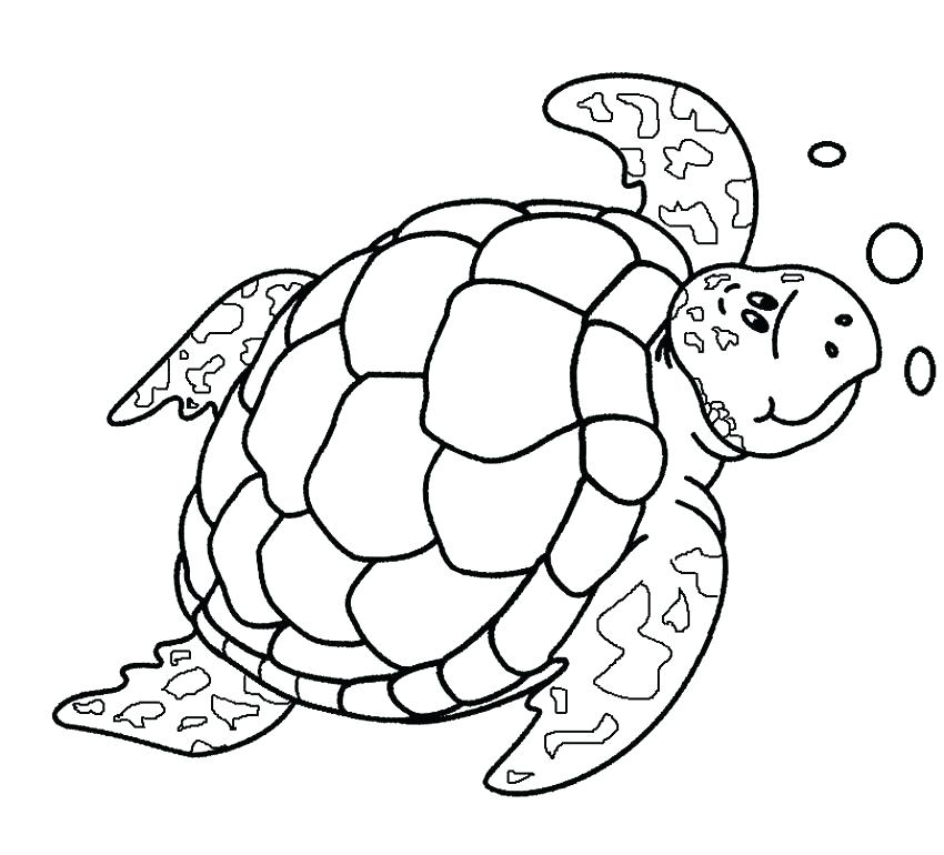 850x770 Ninja Turtles Coloring Pages Printables Turtle Color Page