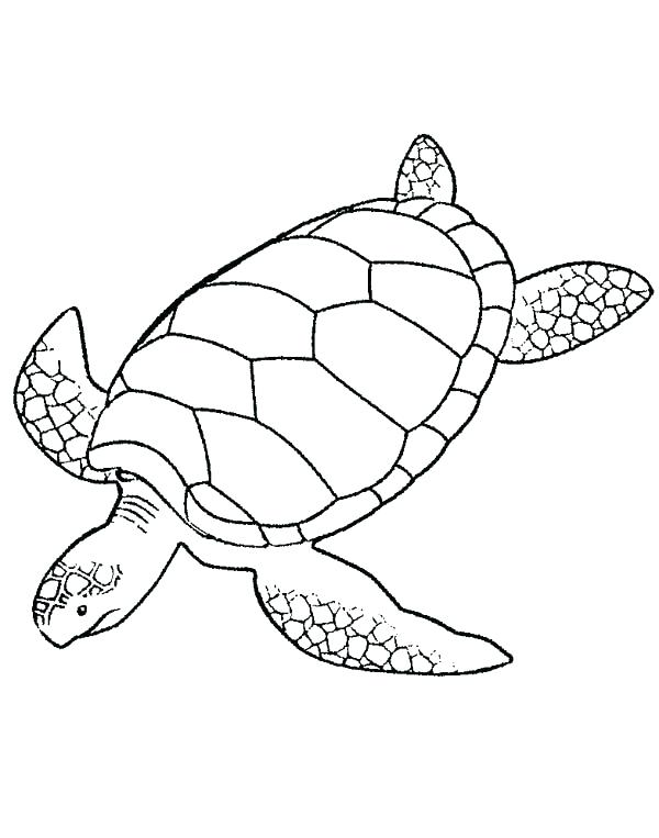 Free Printable Sea Turtle Coloring Pages at GetColorings.com | Free ...