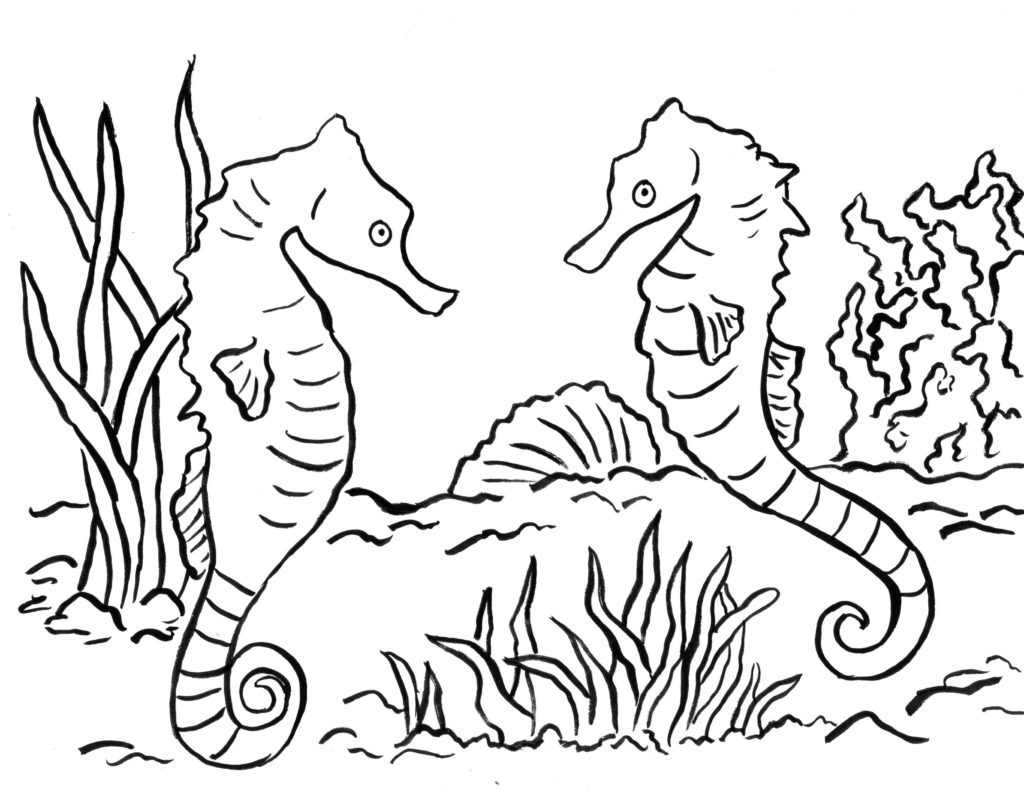 New Baby Seahorse Coloring Pages Free And Refe 1024x790 New Baby Seahorse Coloring Pages Free And Refe