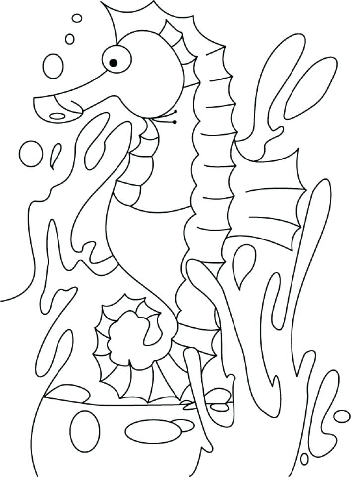 Seahorse Coloring Pages Seahorse Coloring Pages Free Printable 708x960 Seahorse Coloring Pages Seahorse Coloring Pages Free Printable