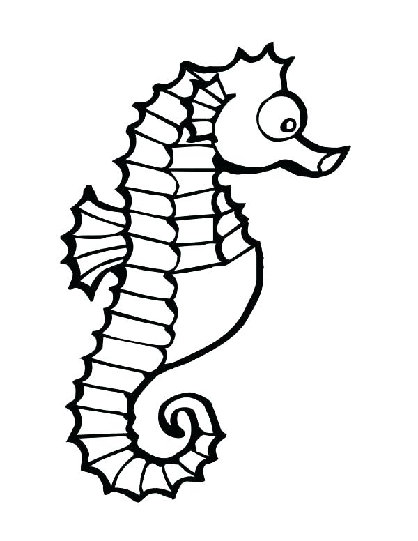 Glamorous Coloring Horse Pages 600x776 Glamorous Coloring Horse Pages