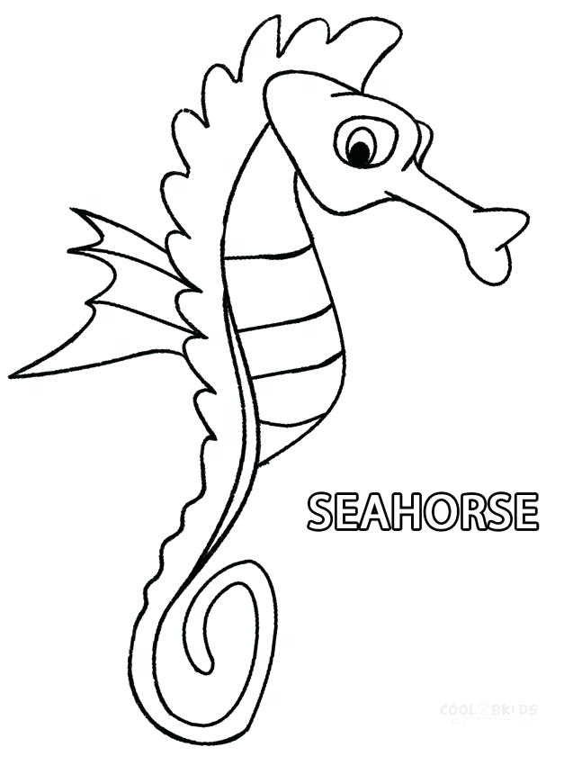 Seahorse Coloring Pages 627x850 Seahorse Coloring Pages