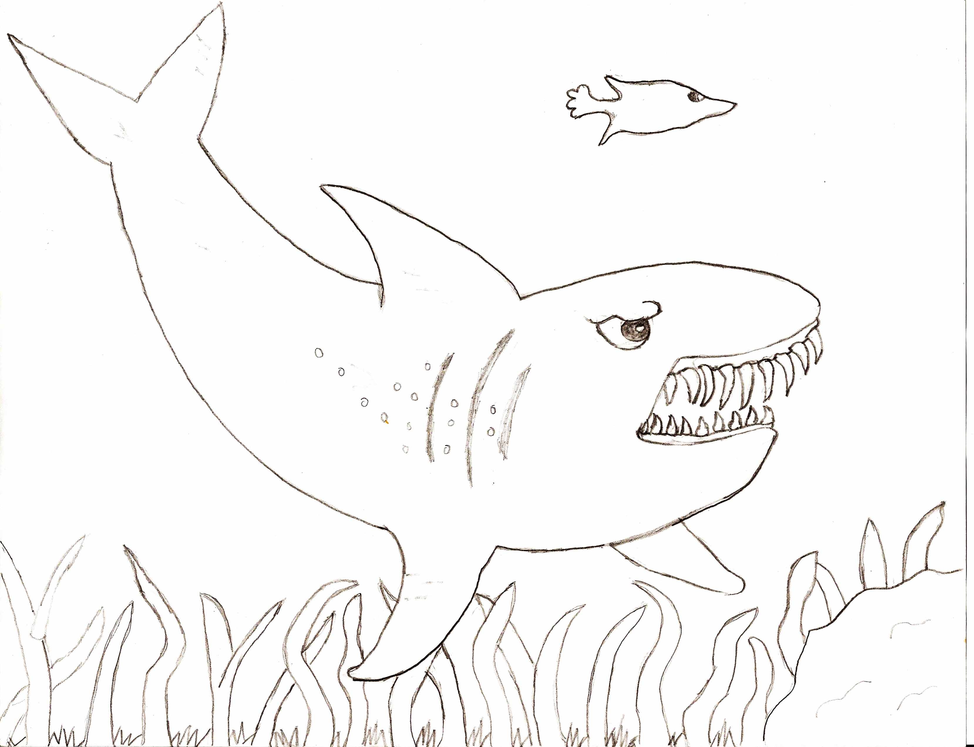 3317x2546 Free Printable Shark Coloring Pages For Kids Collection