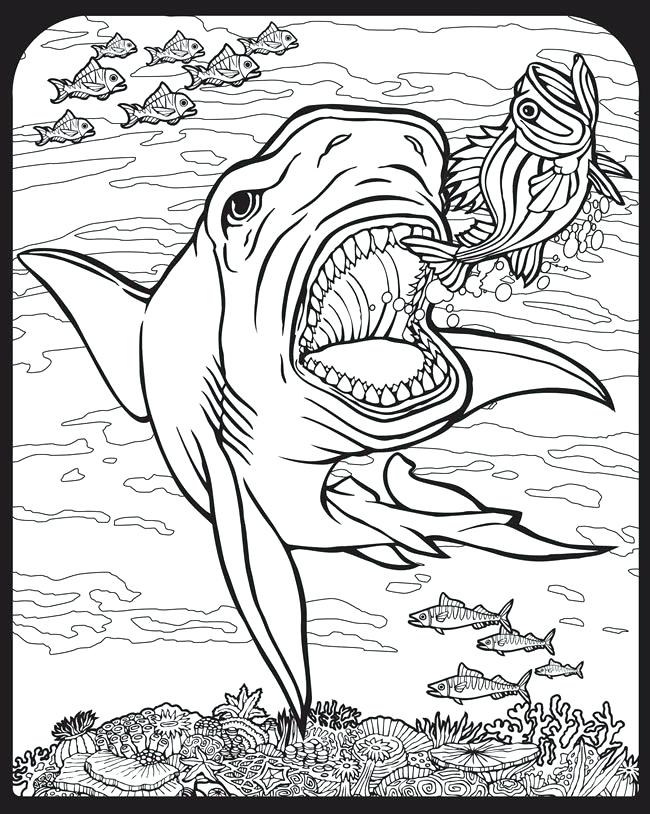 650x814 Shark Coloring Book Pages Shark Colouring Pages Free Printable