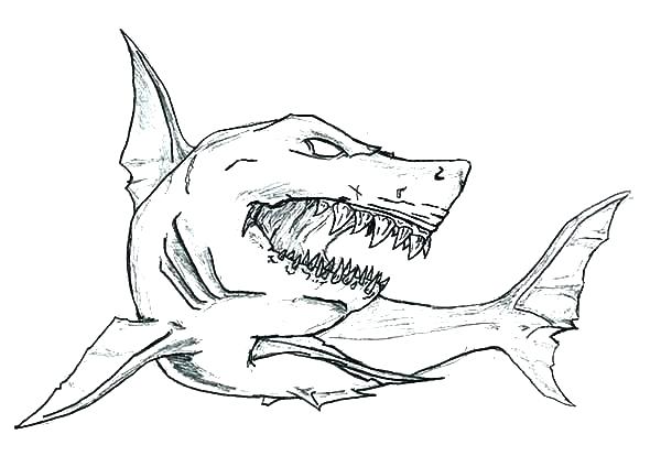600x414 Shark Coloring Pages Printable Shark Coloring Pages Free Printable