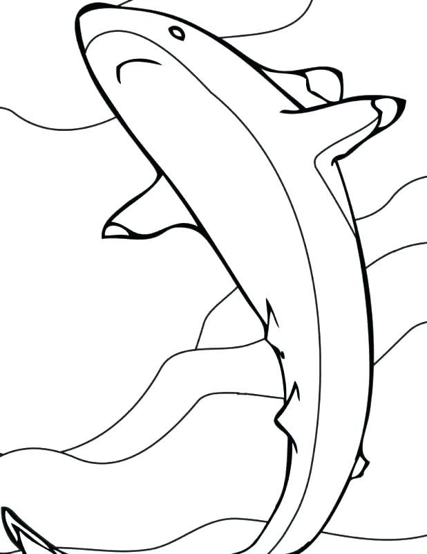 618x800 Whale Shark Coloring Page Whale Shark Coloring Pages Whale Shark