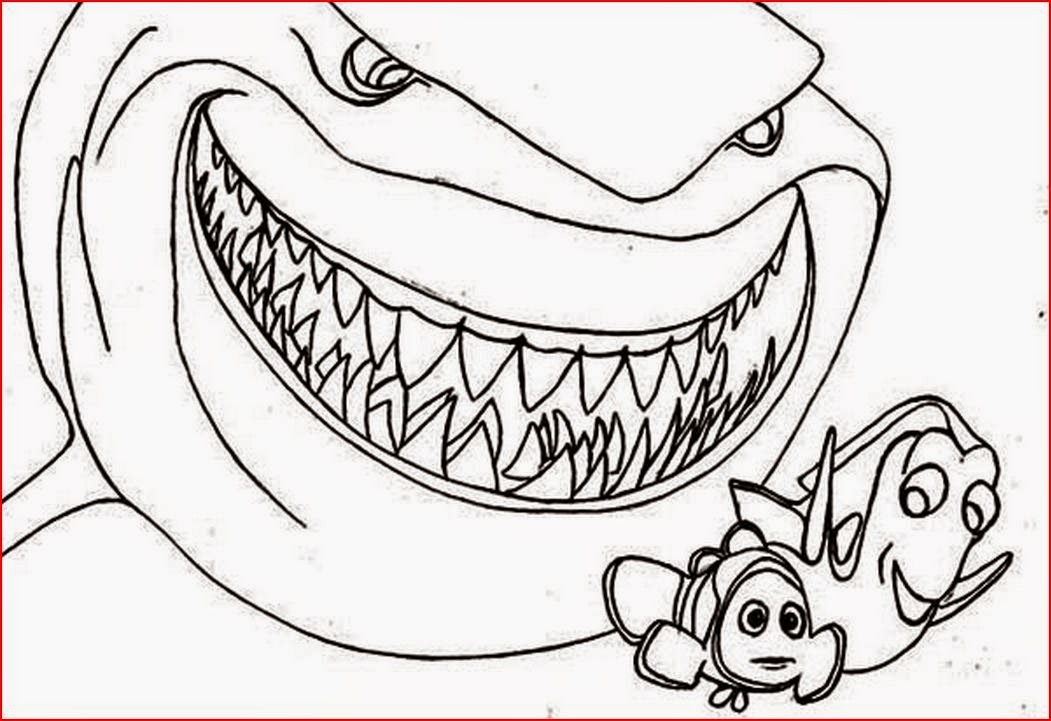 1051x721 Coloring Pages Sharks New Coloring Pages Shark Coloring Pages Free