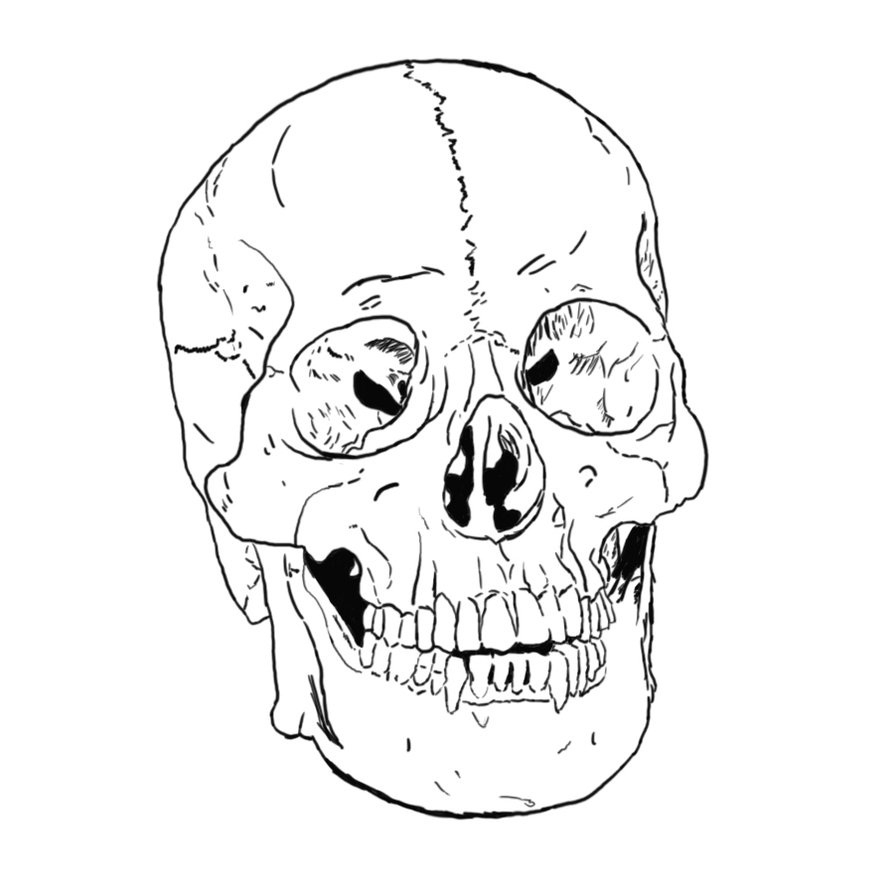 Blank Drawing Of The Skull For Anatomy Free Printable Skull 894x894 Blank Drawing Of The Skull For Anatomy Free Printable Skull