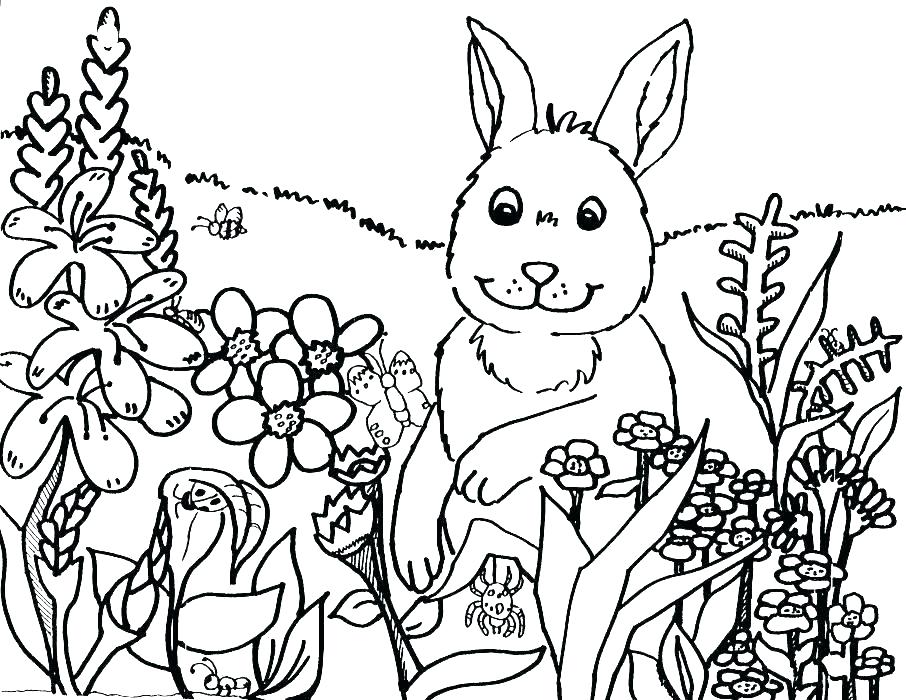 906x700 Printable Spring Coloring Pages Free Printable And Spring Coloring