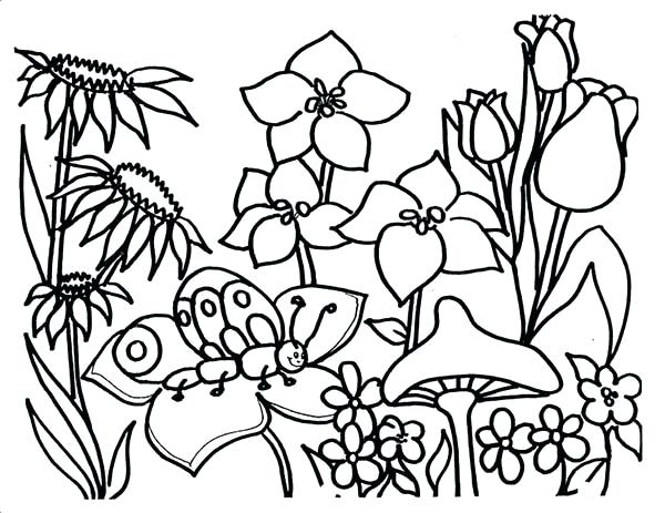 600x463 Spring Coloring Printables All Flower Are Blooming On Springtime