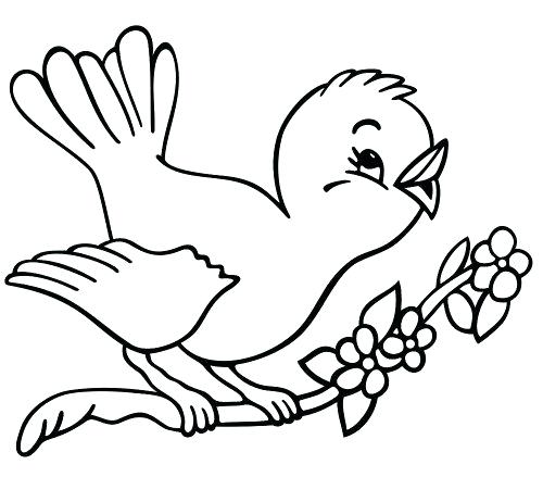 500x439 Springtime Coloring Pages Bird Coloring Pages For Preschoolers