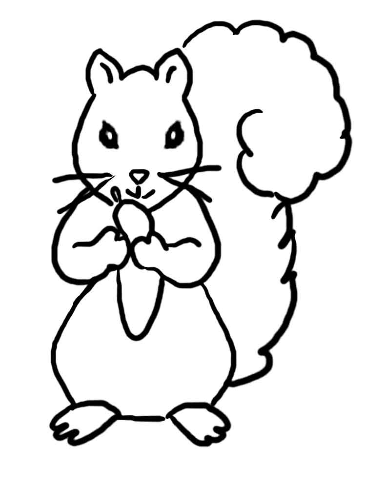 Free Printable Squirrel Coloring Pages For Kids 750x1000 Free Printable Squirrel Coloring Pages For Kids