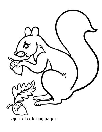 Printable Squirrel Coloring Page Free Pdf 392x507 Printable Squirrel Coloring Page Free Pdf