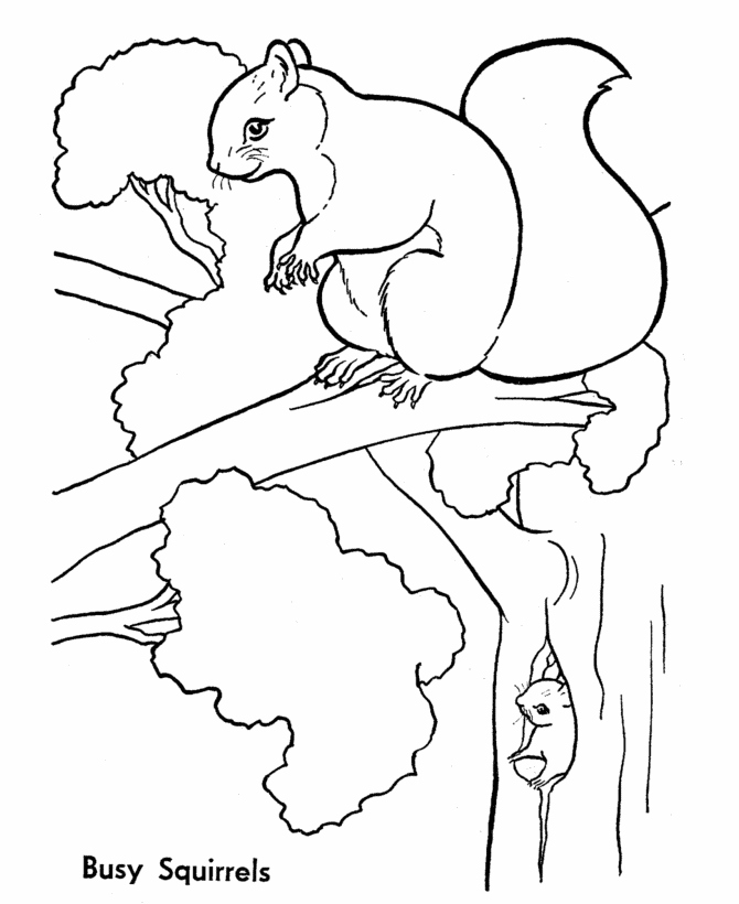 Squirrel Coloring Page Elegant Squirrels Coloring Pages Logo 670x820 Squirrel Coloring Page Elegant Squirrels Coloring Pages Logo